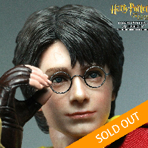 HARRY POTTER (QUIDDITCH)